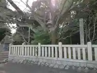 御祖神社のその他建物