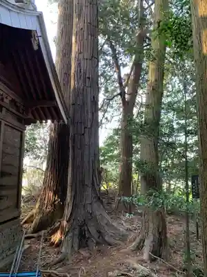 大杉神社　加茂神社(栃木県)