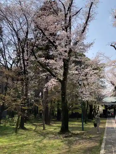 東漸寺(千葉県)