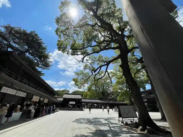 明治神宮(東京都)
