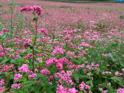 一宮神社(長野県)