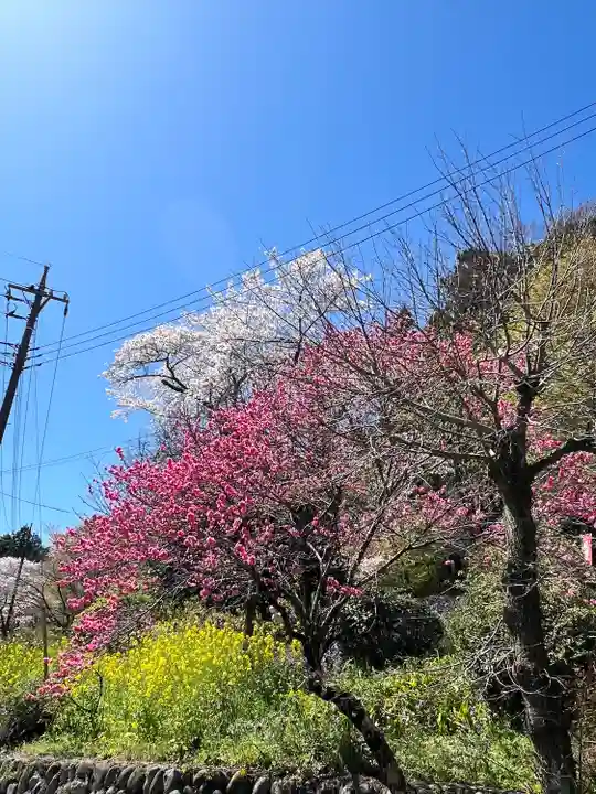 慈光寺(埼玉県)