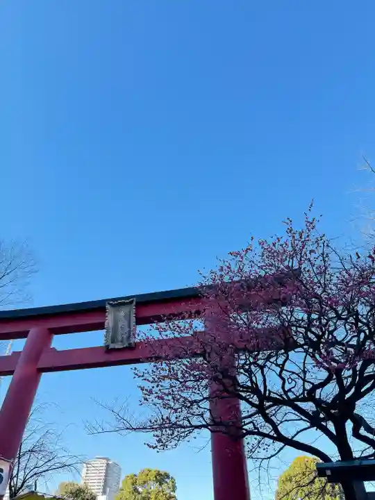 亀戸天神社(東京都)