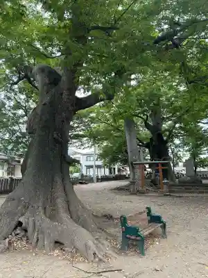 美和神社(長野県)