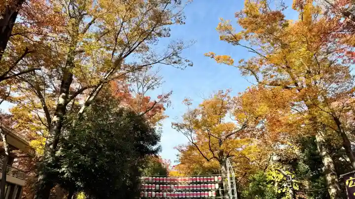 大國魂神社の{uncategorized: "未分類", other: "その他", undefined: "問題あり", building: "その他建物", grave: "お墓", sacred_gate: "鳥居", guardian: "狛犬", statue: "像", buddha: "仏像", history: "歴史", nature: "自然", garden: "庭園", animal: "動物", pagoda: "塔", temizu: "手水舎", mountain_gate: "山門・神門", sanctuary: "本殿・本堂", subordinate: "末社・摂社", art: "芸術", scenery: "景色", jizo: "地蔵", ema: "絵馬", goshuin: "御朱印", omikuji: "おみくじ", items: "授与品その他", amulet: "お守り", goshuincho: "御朱印帳", eats: "食事", festival: "お祭り", votive_dance: "神楽", shichigosan: "七五三参", wedding: "結婚式", experience: "体験その他", initially: "初詣", around: "周辺", anti_infection: "感染症対策"}