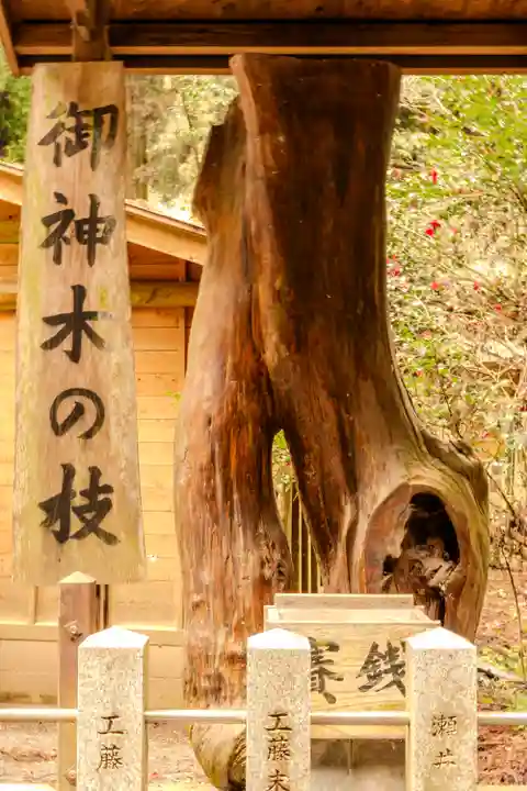 草部吉見神社(熊本県)
