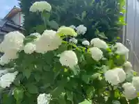 美奈宜神社(福岡県)