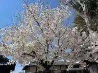 下総野田愛宕神社の庭園