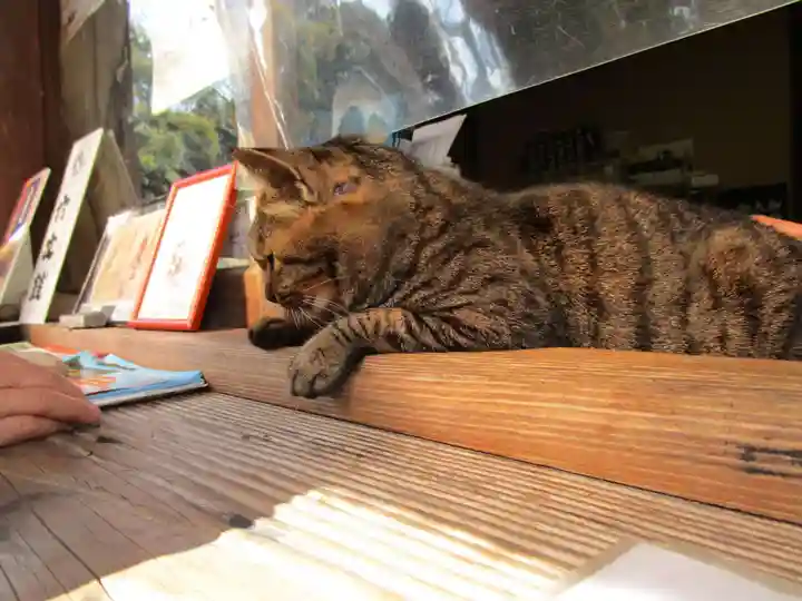 長岳寺(奈良県)