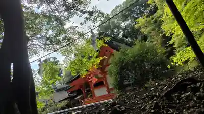 出雲大神宮(京都府)