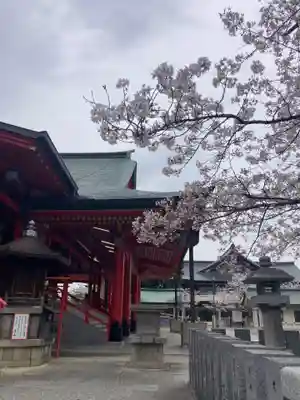 成田山大阪別院　明王院(大阪府)