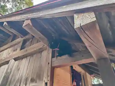 高司神社〜むすびの神の鎮まる社〜(福島県)