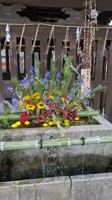 今宮神社(京都府)