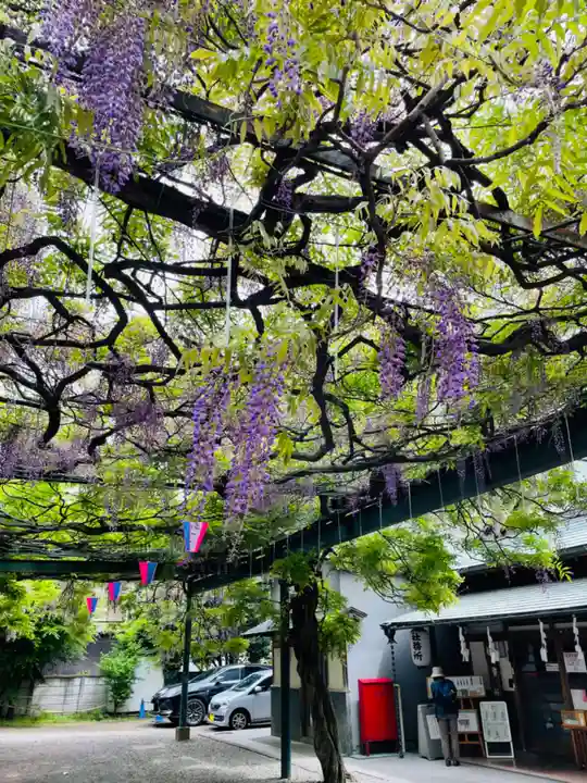 國領神社の自然