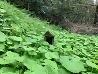 八幡神社の自然