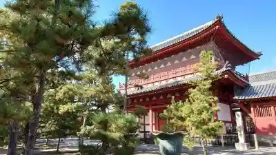 妙心寺（妙心禅寺）の山門・神門