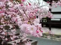 本法寺(京都府)