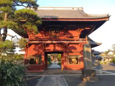 徳願寺の山門・神門