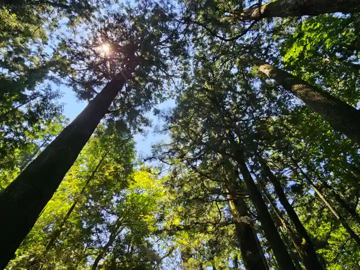 赤城神社(三夜沢町)の景色
