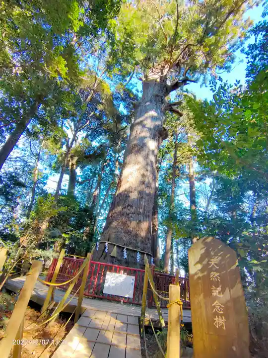 麻賀多神社の自然