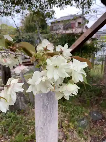 上地八幡宮(愛知県)