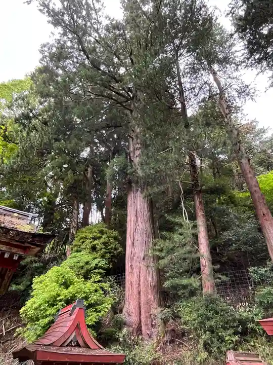 談山神社(奈良県)