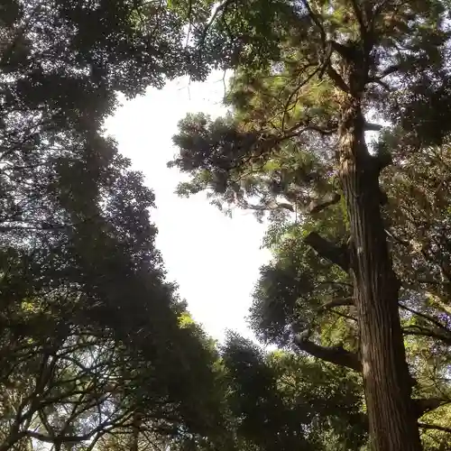 金砂神社の自然