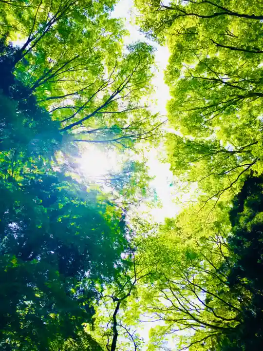 鹿島神宮(茨城県)