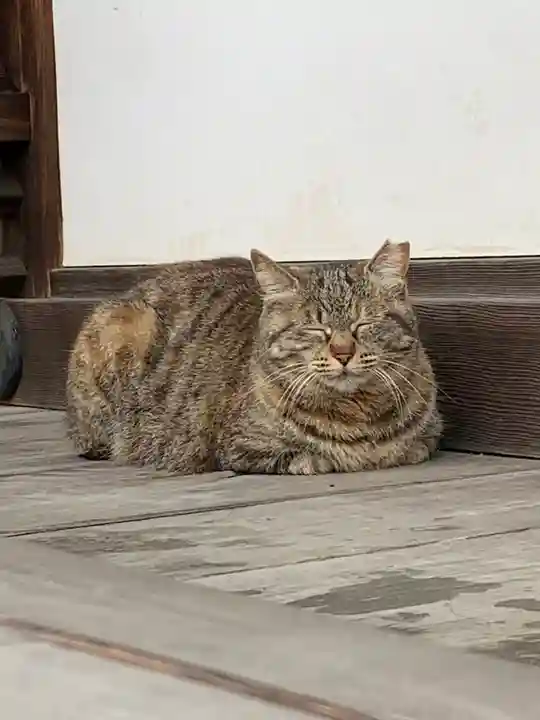 門田稲荷神社の動物