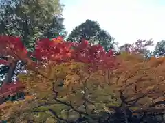 北口本宮冨士浅間神社(山梨県)