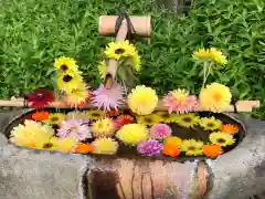 伊和志津神社の手水