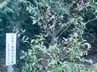 三之倉神社(岐阜県)