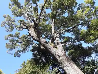 居神神社(神奈川県)