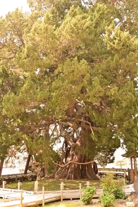 寶生院(香川県)