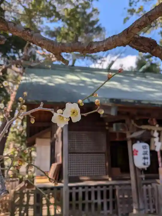 田端神社(東京都)