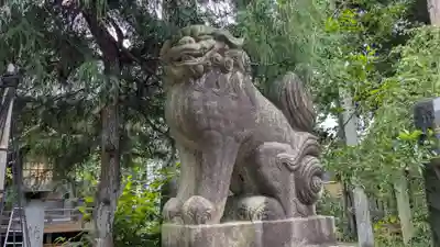 大木白山社の狛犬