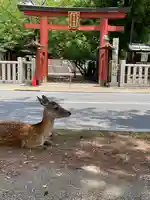 氷室神社の動物