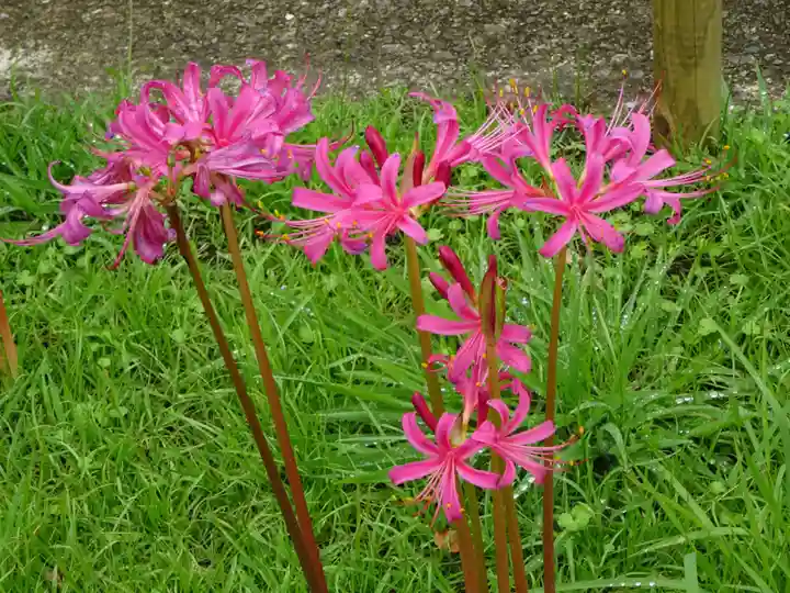 横浜 西方寺の自然