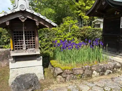 大池寺の{uncategorized: "未分類", other: "その他", undefined: "問題あり", building: "その他建物", grave: "お墓", sacred_gate: "鳥居", guardian: "狛犬", statue: "像", buddha: "仏像", history: "歴史", nature: "自然", garden: "庭園", animal: "動物", pagoda: "塔", temizu: "手水舎", mountain_gate: "山門・神門", sanctuary: "本殿・本堂", subordinate: "末社・摂社", art: "芸術", scenery: "景色", jizo: "地蔵", ema: "絵馬", goshuin: "御朱印", omikuji: "おみくじ", items: "授与品その他", amulet: "お守り", goshuincho: "御朱印帳", eats: "食事", festival: "お祭り", votive_dance: "神楽", shichigosan: "七五三参", wedding: "結婚式", experience: "体験その他", initially: "初詣", around: "周辺", anti_infection: "感染症対策"}