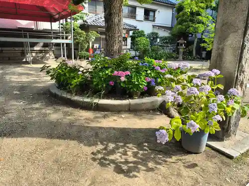 四貫島住吉神社(大阪府)