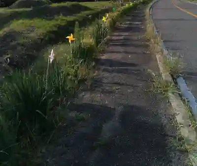 高司神社〜むすびの神の鎮まる社〜(福島県)