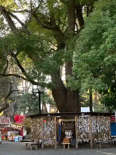 平塚八幡宮(神奈川県)
