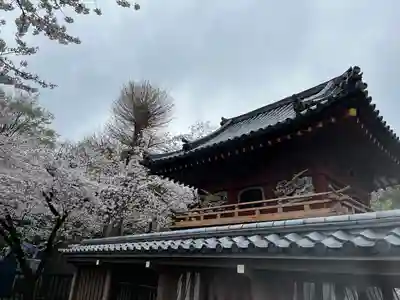 喜多院(埼玉県)