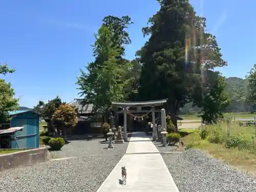 若宮八幡神社(福井県)