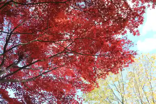 豊景神社の自然