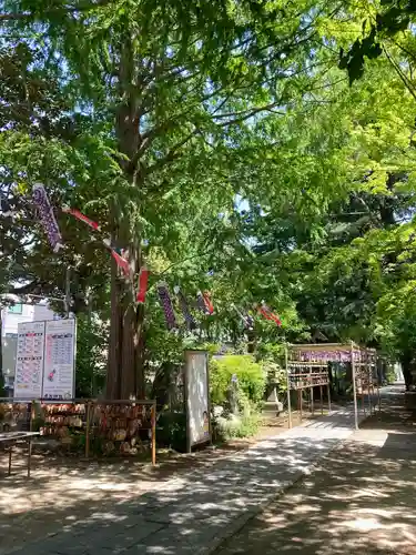 越谷香取神社(埼玉県)
