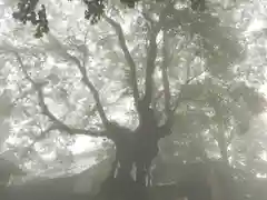 熊野皇大神社(長野県)