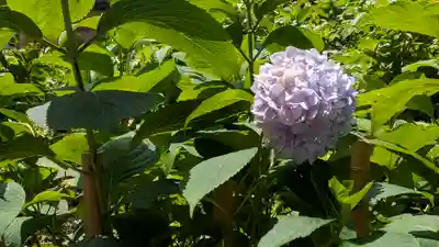 藤森神社(京都府)