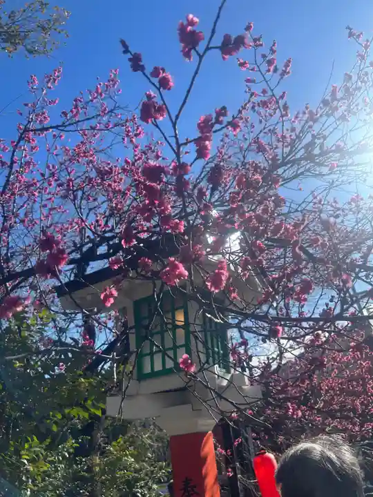 田無神社(東京都)