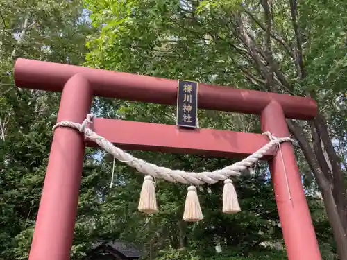 樽川神社の鳥居